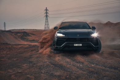 The lightweight bull 2