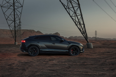 The lightweight bull 4