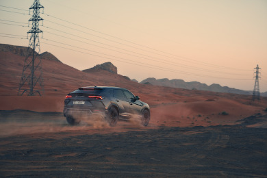 The lightweight bull 3