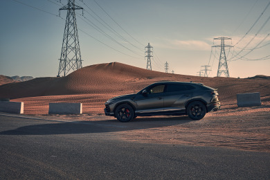 The lightweight bull 7