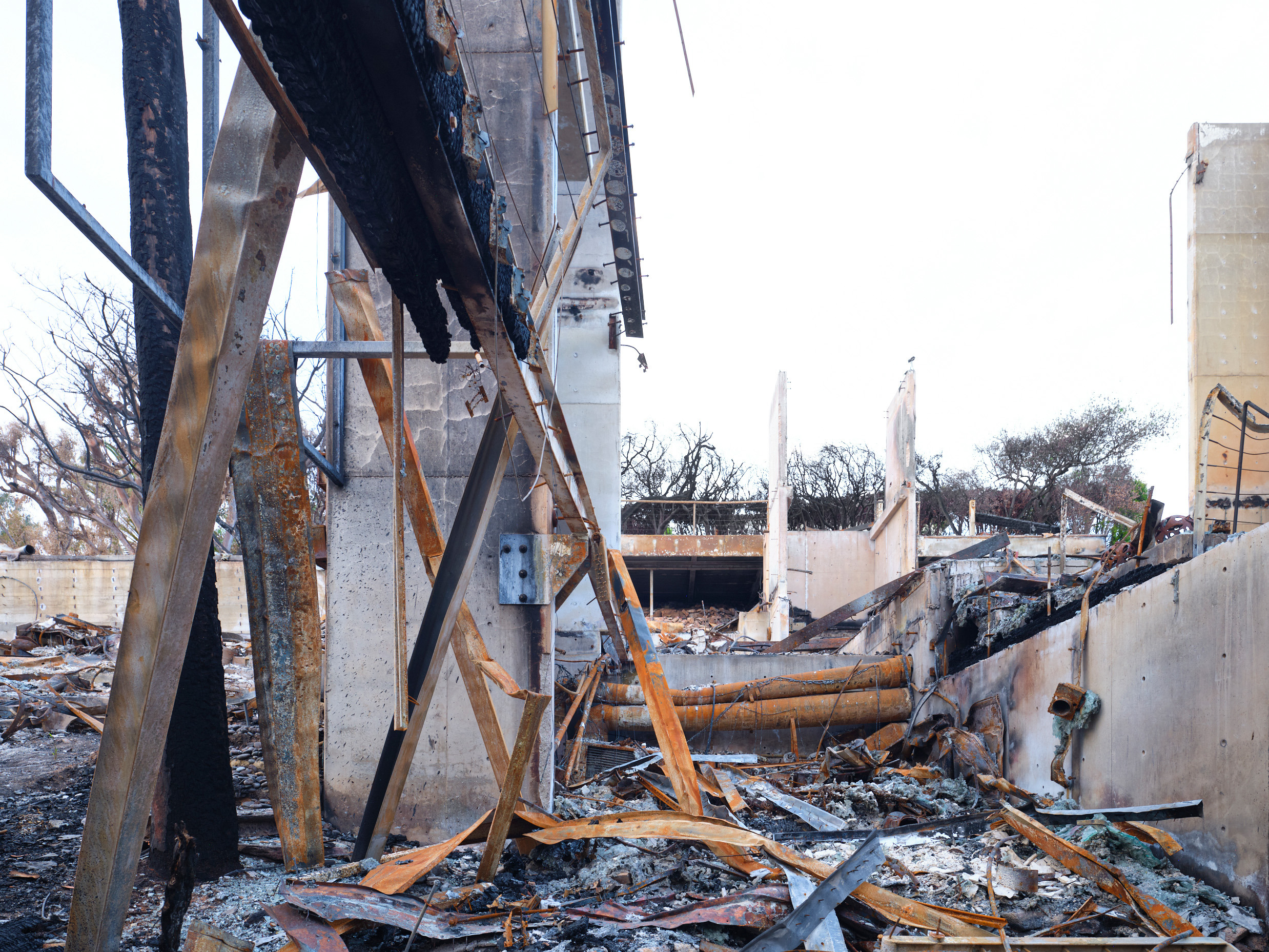 Ashes of Modernism, LA fires 11