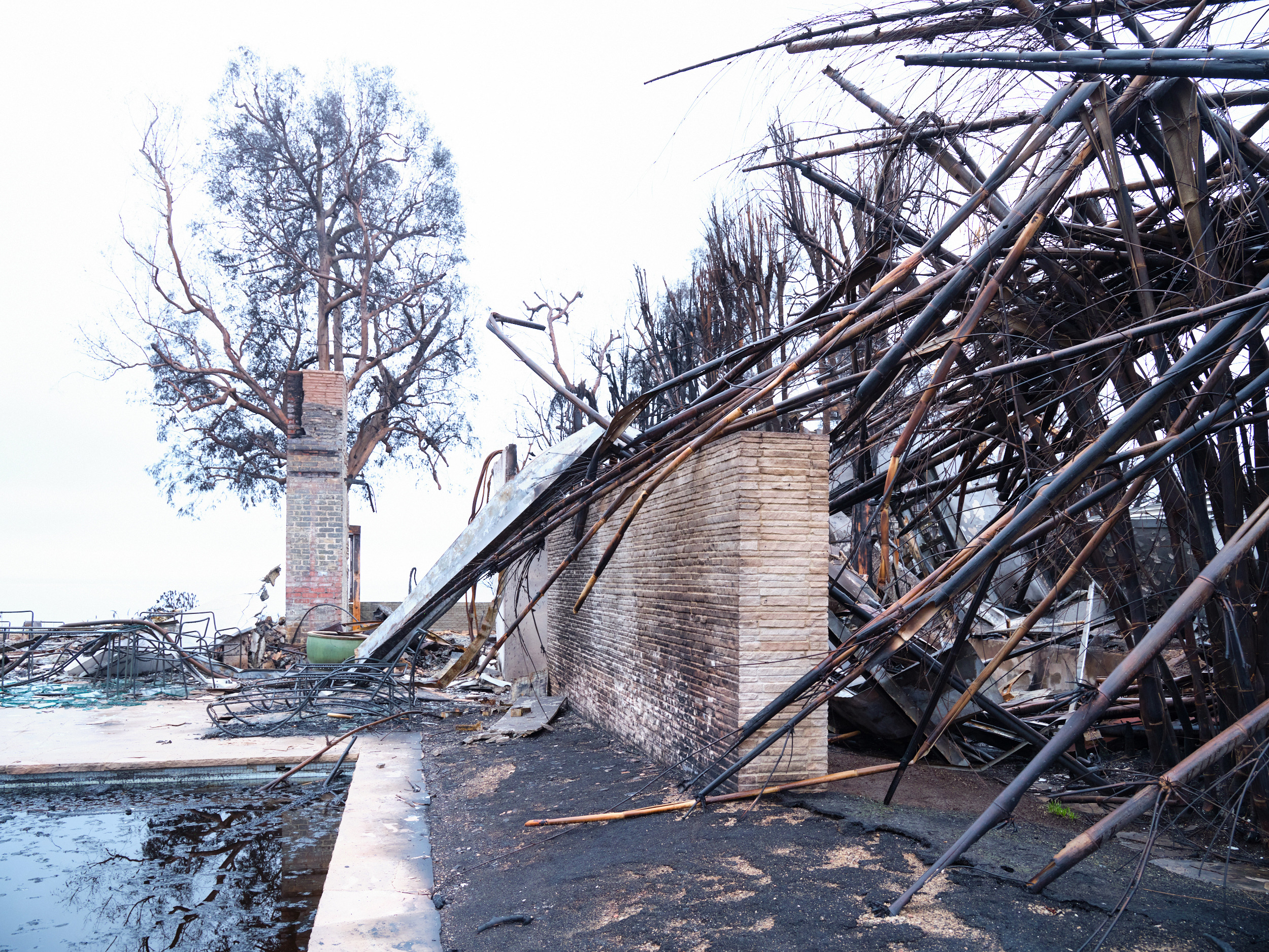 Ashes of Modernism, LA fires 19