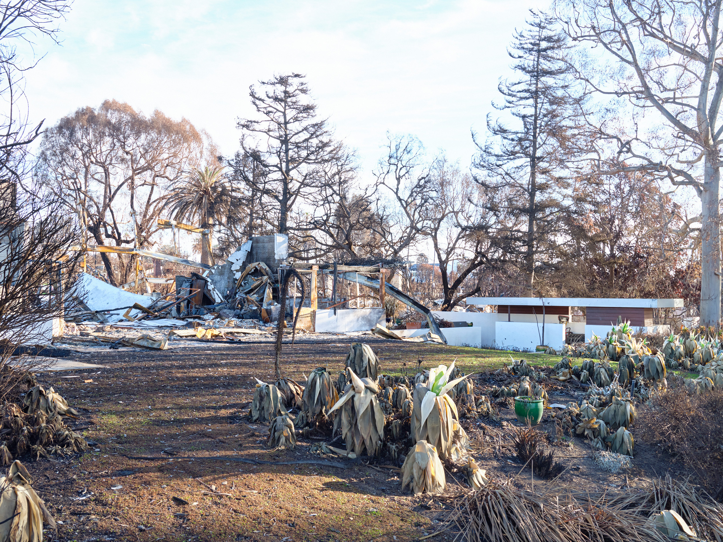 Ashes of Modernism, LA fires 20