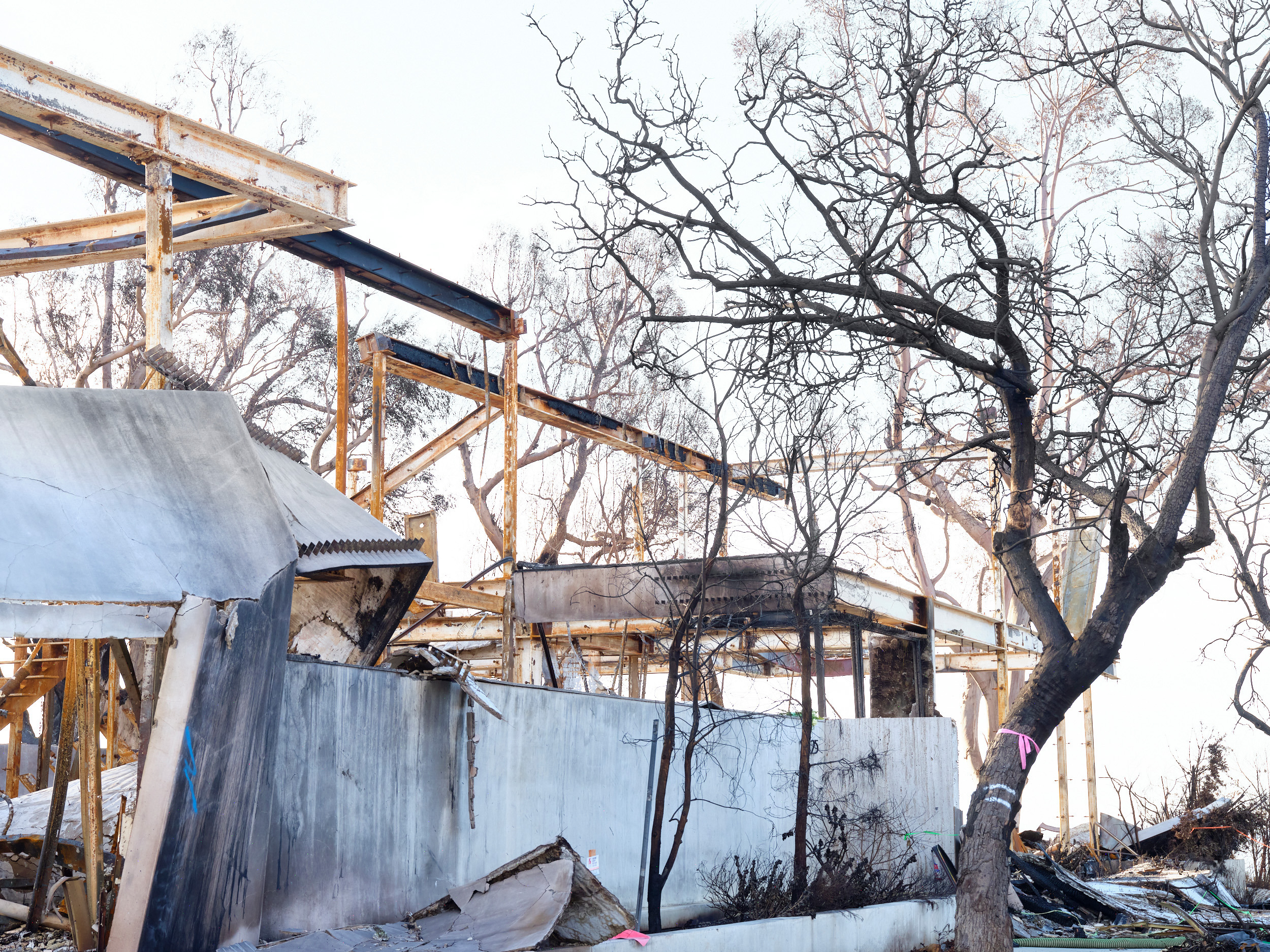 Ashes of Modernism, LA fires 5