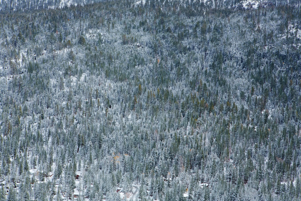 Drone Landscapes 14